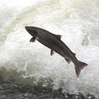 Post image for Blessed With Hunger